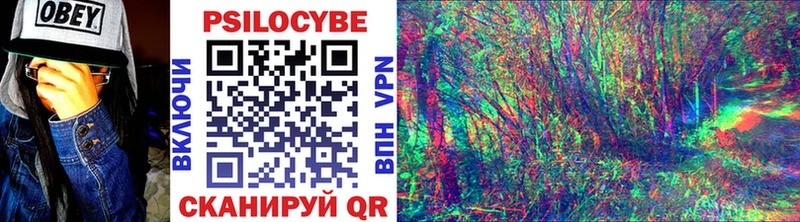 Псилоцибиновые грибы мицелий  мориарти клад  Кингисепп 