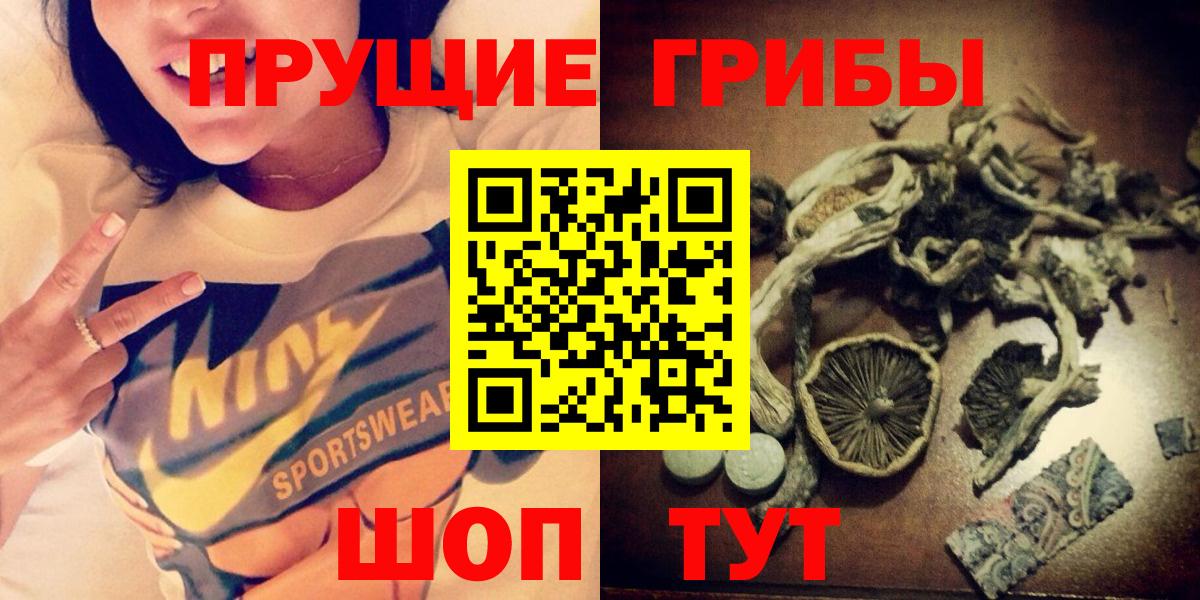 Кингисепп  Псилоцибиновые грибы Magic Shrooms  Вход с VPN  купить наркотики цена  Псилоцибиновые грибы Psilocybe 