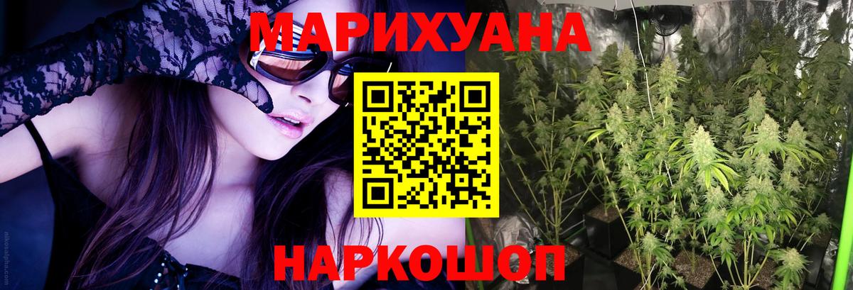 МАРИХУАНА сатива Кингисепп